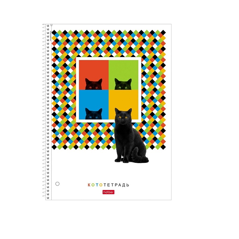 Тетрадь  А4 120л. кл. спир. Хатбер"Тот самый кот", ламинац.Soft-touch, 3 цв. разделителя